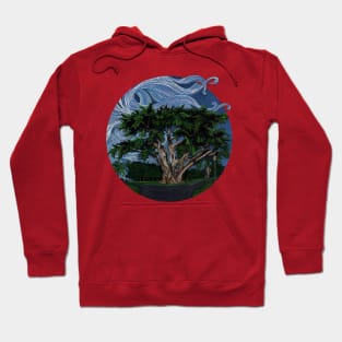 Doghill Tree, Alamo Sq. Park, SF in color ink Hoodie